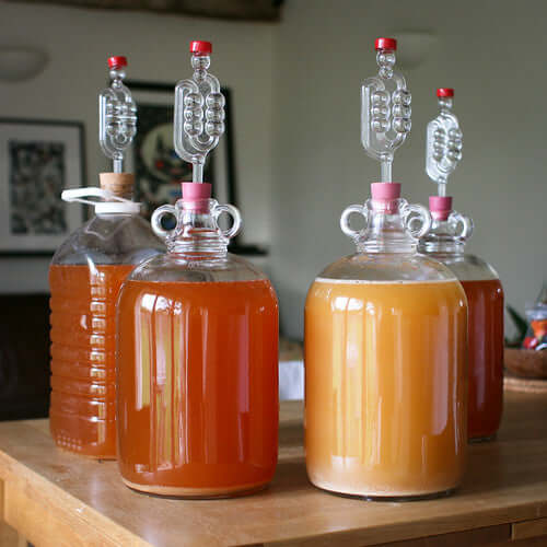 Fermentation jars with airlocks containing various homemade beverages on a wooden table.