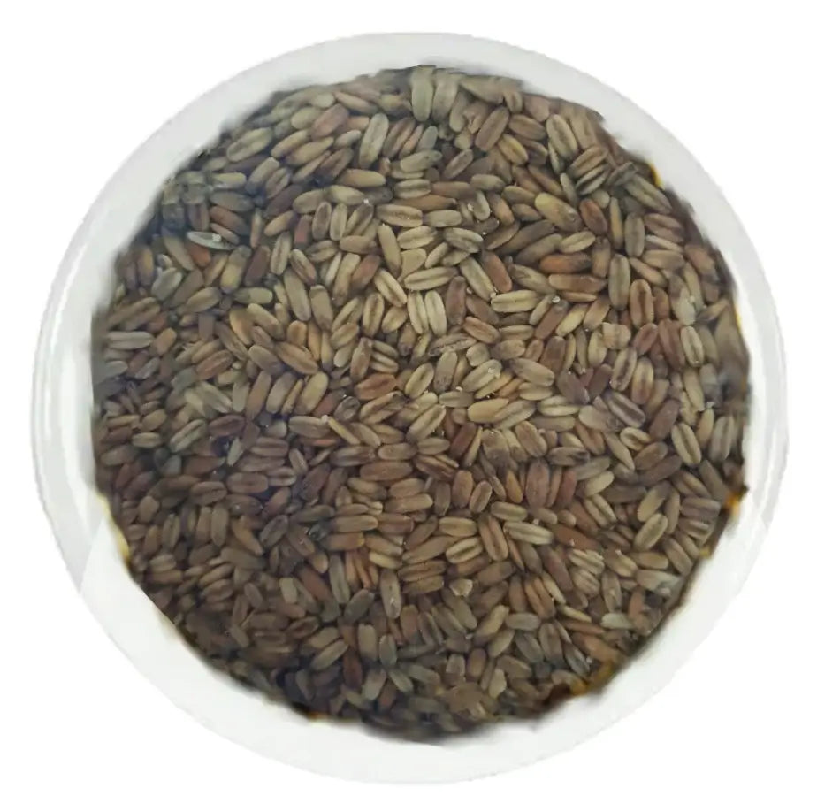 Simpsons Golden Naked Oats 3kg - Simpsons The Home Brew Shop 170889