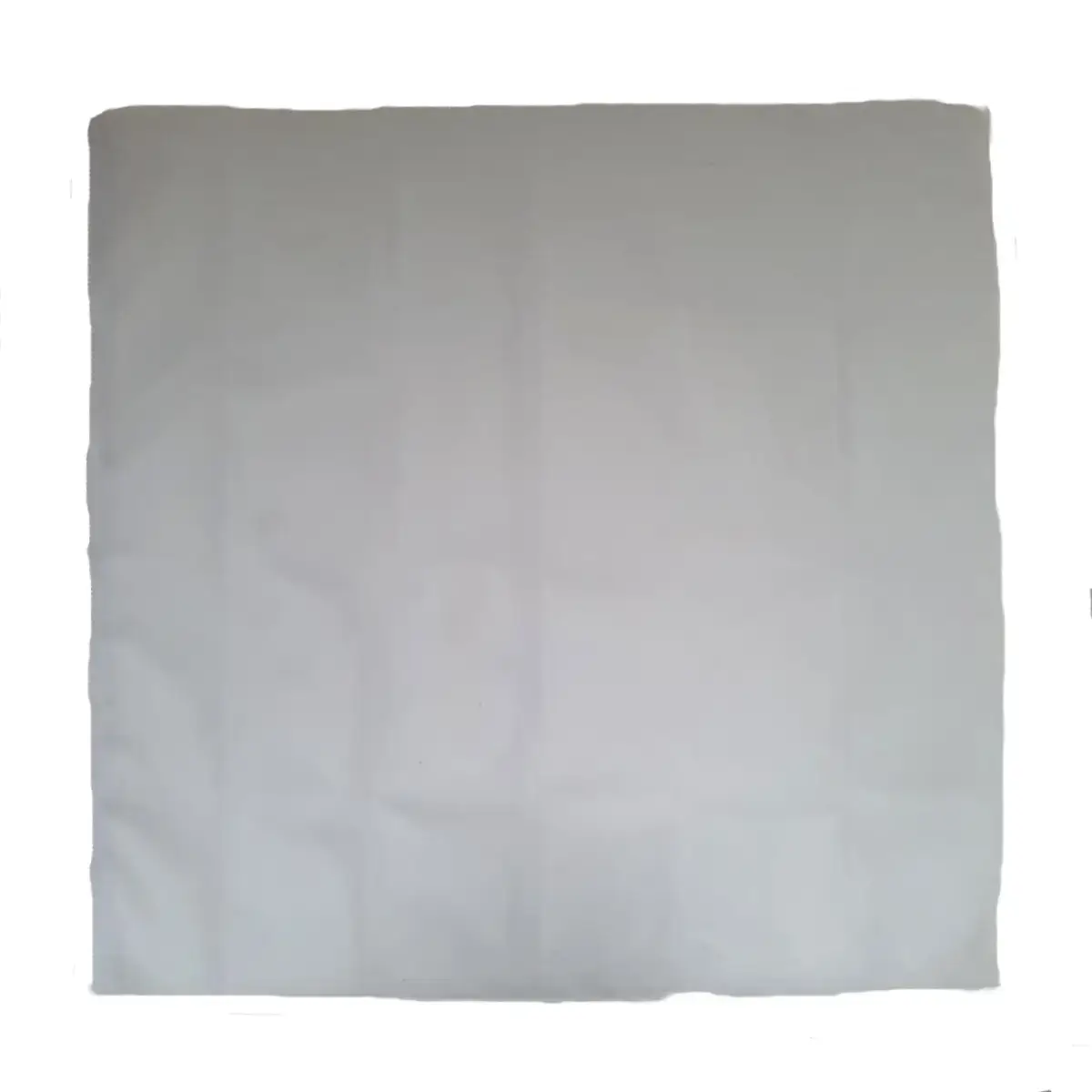 Vigo 45 x 46cm Coarse 9/12 Ltr Bag for juice straining in spindle presses.