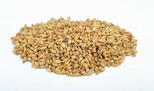 Abbey Malt® 1kg - Crushed Grain | The Home Brew Shop | 512467