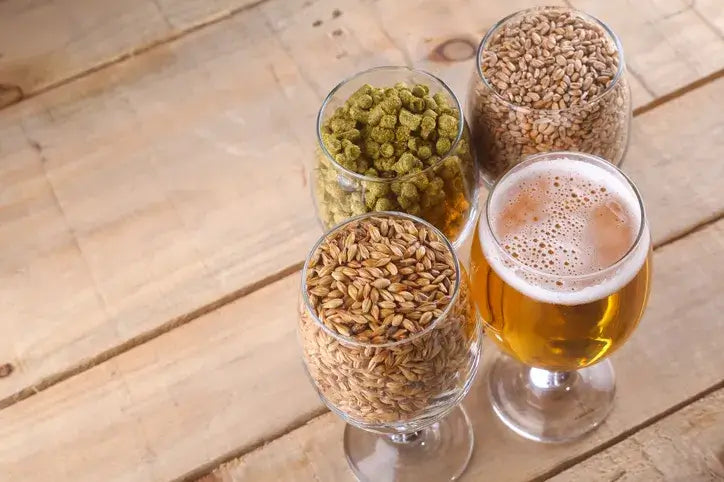 Three glasses of grains and hops with a glass of golden beer on a wooden table, showcasing brewing ingredients.