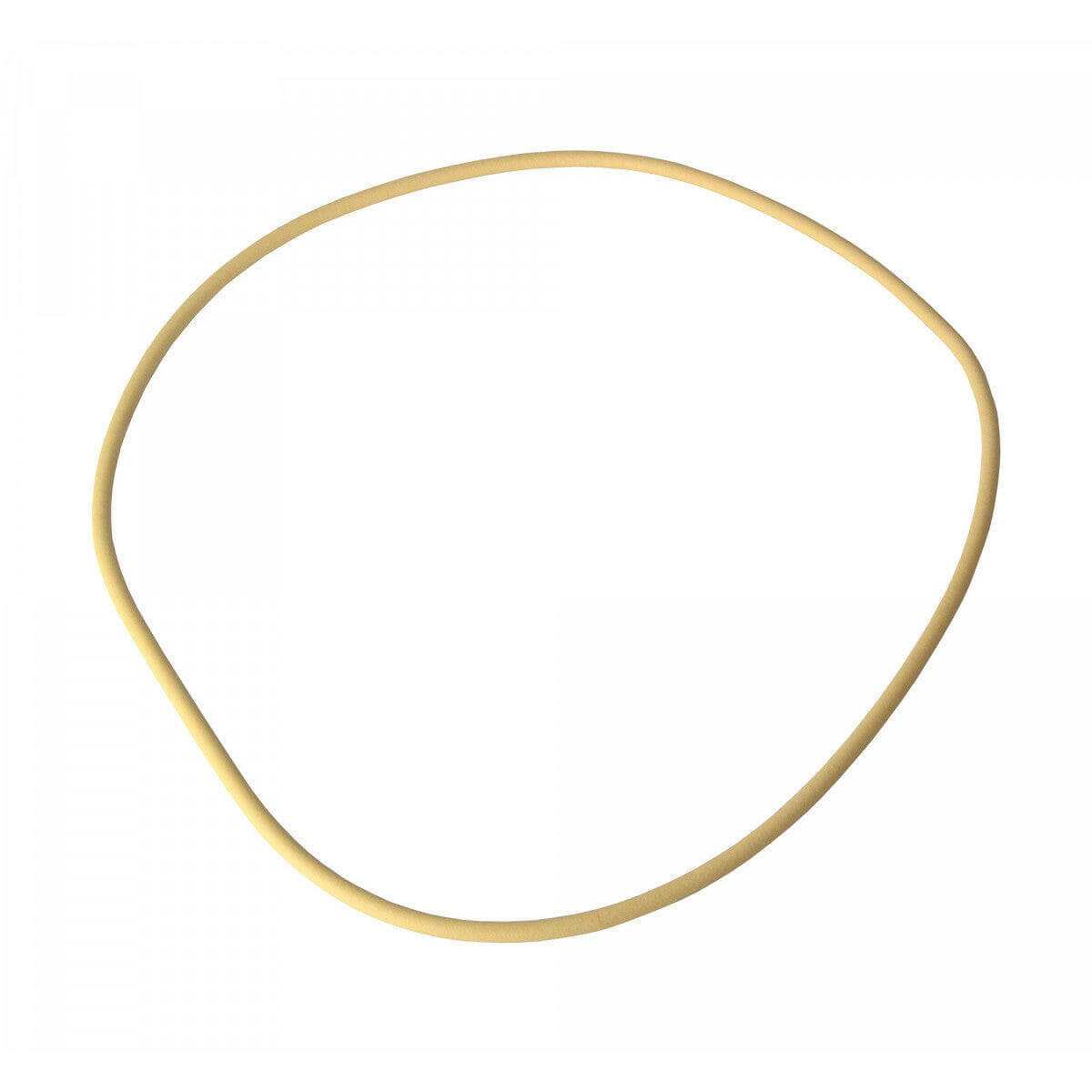 FastFerment Hollow Gasket | The Home Brew Shop | General-123