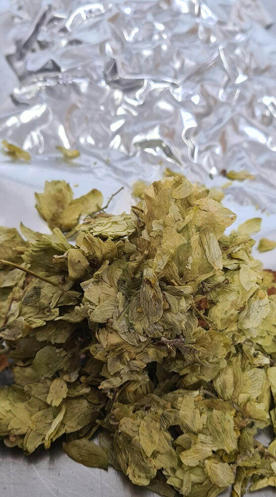 Dr. Rudi Hops 100g - Harvest 2020 | The Home Brew Shop | 207511