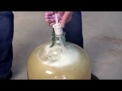 Wine Whip Video