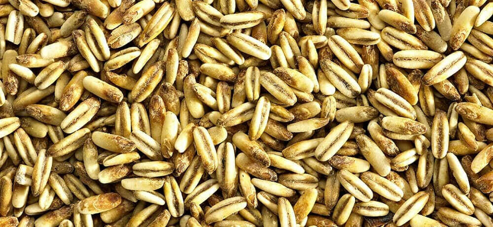 Golden Naked Oats 500g | Simpsons Malt | The Home Brew Shop | 170888