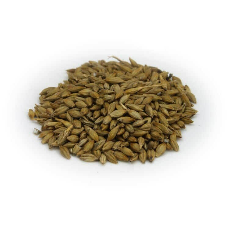 Whole Barley 500g | The Home Brew Shop | 101433-7452