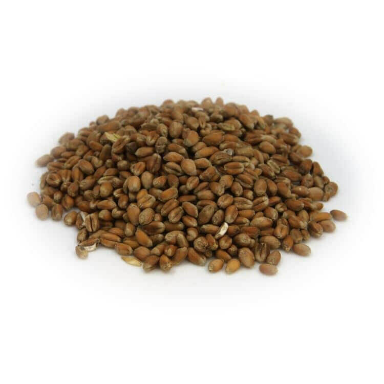 Whole Wheat 500g | The Home Brew Shop | 102088 - 7453